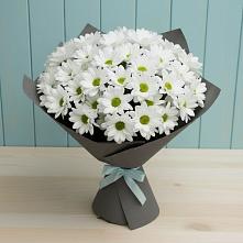 Букет цветов из:  Хризантемы #REPLACE_PRED# Ишне